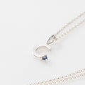 COLLAR INICIAL Y PIEDRA NATAL PLATA PRE-ORDEN