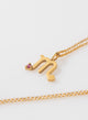 COLLAR ESCORPIO BAÑO EN ORO (PRE-ORDER)