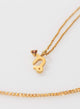 COLLAR CAPRICORNIO BAÑO EN ORO (PRE-ORDER)