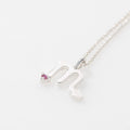 COLLAR ESCORPIO PLATA (PRE-ORDER)