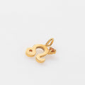 DIJE LEO BAÑO EN ORO (PRE-ORDER)