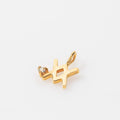 DIJE ACUARIO BAÑO EN ORO (PRE-ORDER)