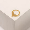 PIERCING PEZ BAÑO EN ORO