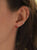 Aretes coral