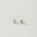 ARETES PERDIGONES PLATA